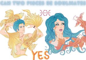 Can two Pisces be soulmates? Pisces and Pisces compatibility percentage